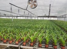 智能溫室墻體坡度的注意事項(xiàng)