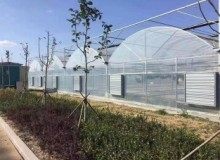 使用連棟薄膜溫室的蔬菜大棚在冬季要怎樣做才能減少病蟲害