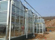 溫室大棚墻體建造過程中注意事項(xiàng)