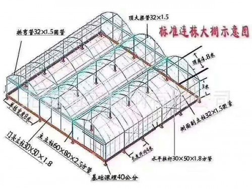 溫室效果圖